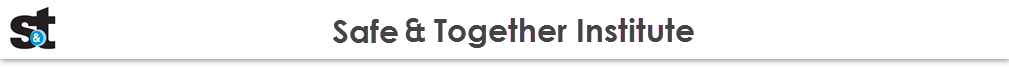 Safe and Together Institute